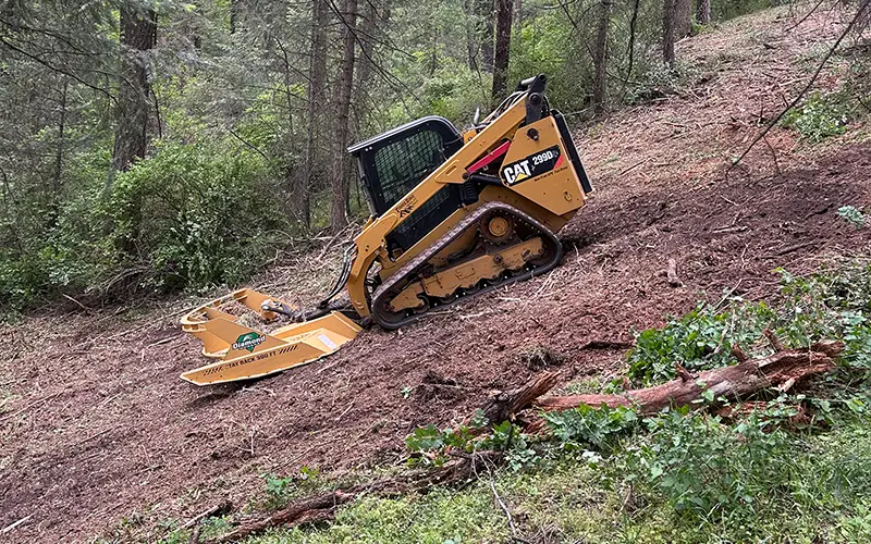 brush-mowing