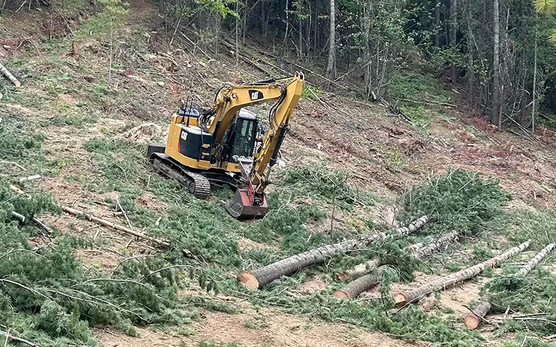 land-clearing